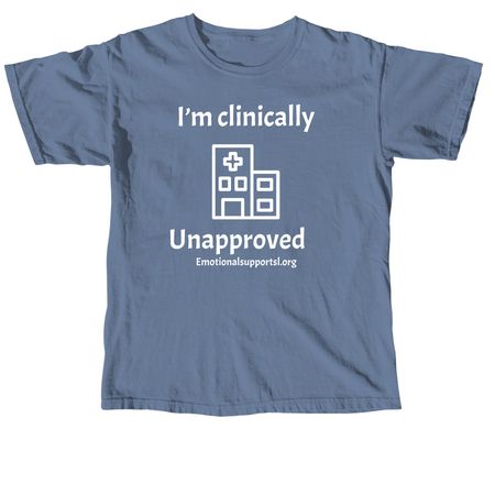 Beyond_chandra, a Blue Jean Comfort Colors Unisex Tee