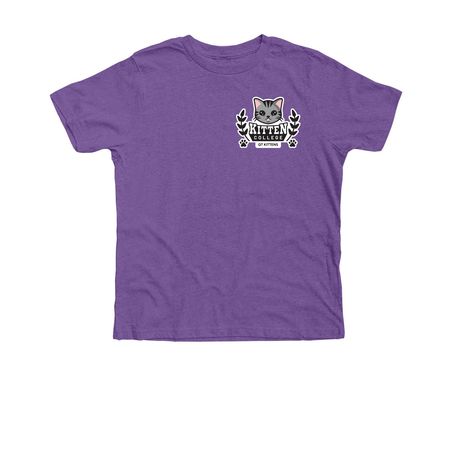 Buy a Shirt. &nbsp;Send a QT Kitten to College!, a Heather Team Purple Premium Youth Tee