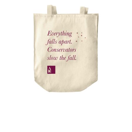 Conservators Slow the Fall, a Natural Over-the-Shoulder Shopping Tote Bag