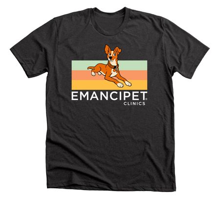 Fern Apparel, a Dark Grey Heather Premium Unisex Tee