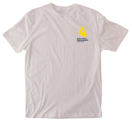 Small Logo, a Ice Grey Softstyle Cotton Tee