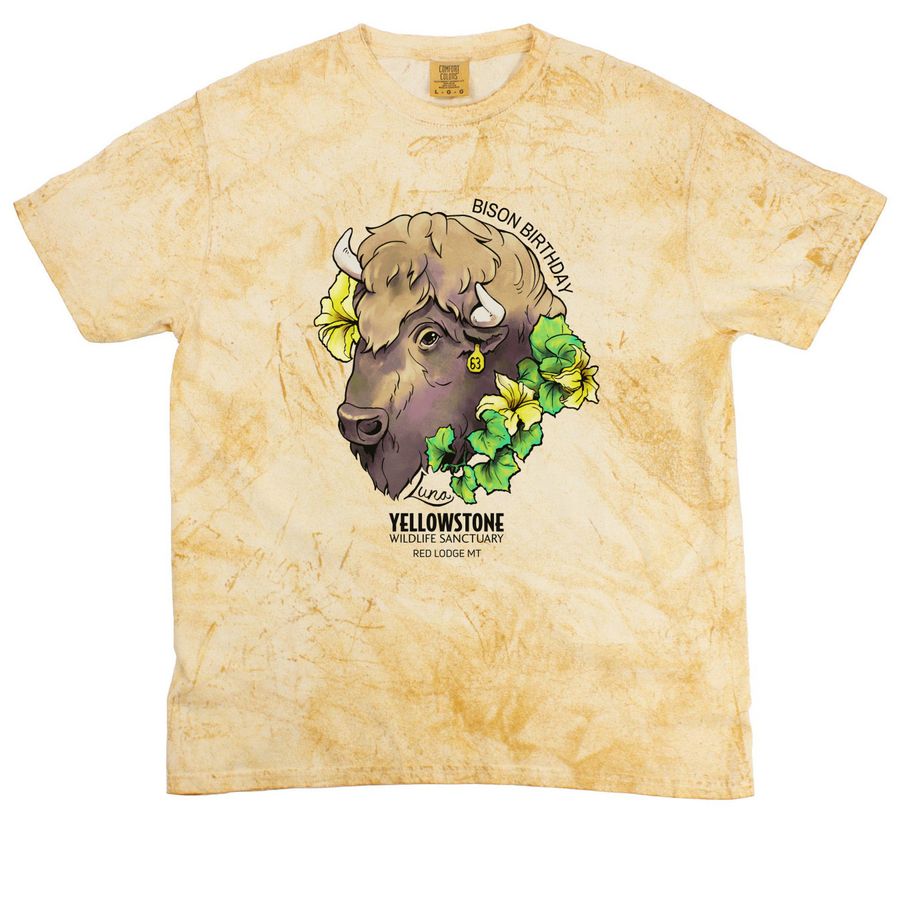 Bison Birthday Party!, a Citrine Comfort Colors Colorblast Tee