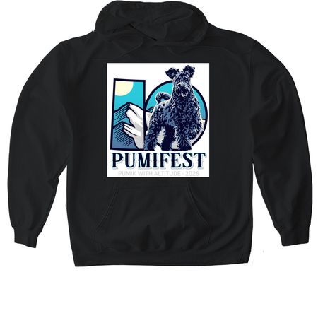 Large Logo Items, a Black Gildan Softstyle Pullover Hoodie
