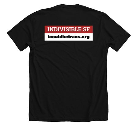 I Could Be Trans T-Shirts, a Solid Black Blend Premium Unisex Tee (back-view)