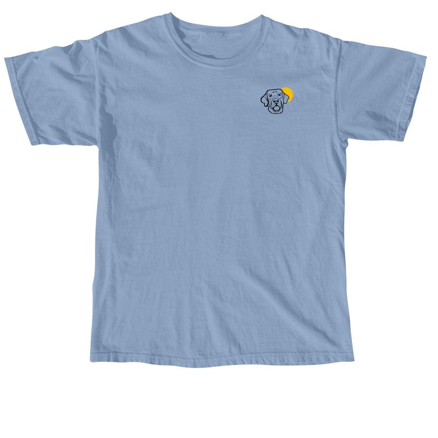 Sunny Days Ahead ??, a Washed Denim Comfort Colors Unisex Tee