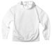 HCCA Colored Logo, a White Premium Heavyweight Pullover Hoodie (back-view)
