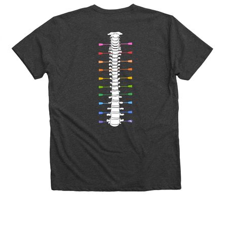 Pride Rainbow Spine, a Dark Grey Heather Premium V-Neck Tee (back-view)