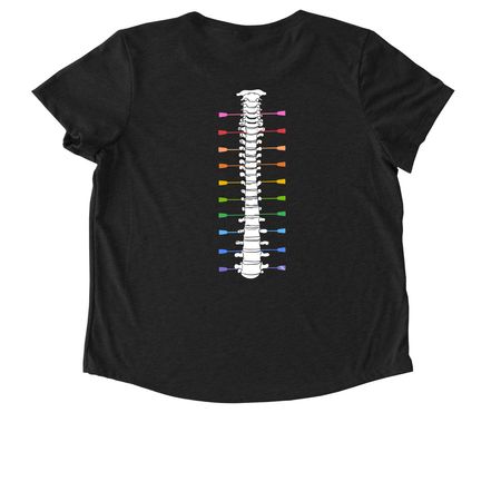 MORE STYLES - Pride Rainbow Spine, a Space Black Allmade Eco Triblend Women?s Scoop Neck Tee (back-view)