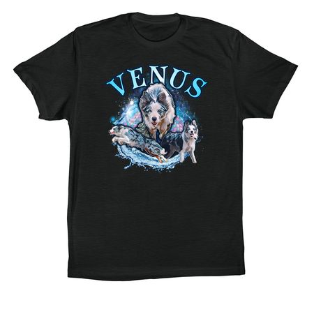 Venus 2026, a Vintage Black Premium Cotton Tee (back-view)