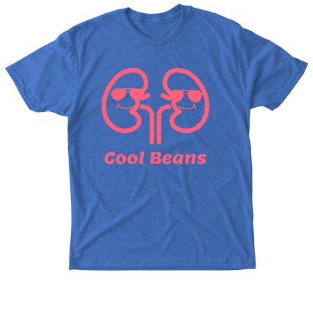 Timothy Kolek's Kidney Problems and Dialysis, a Vintage Royal Triblend Unisex Tee
