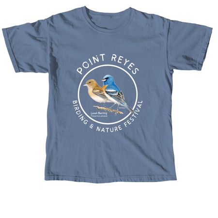 Festival Flashback: 2023 Lazuli Bunting, a Blue Jean Comfort Colors Unisex Tee