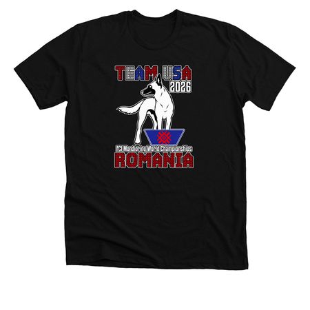 Support Team USA!&nbsp;, a Solid Black Blend Premium Unisex Tee
