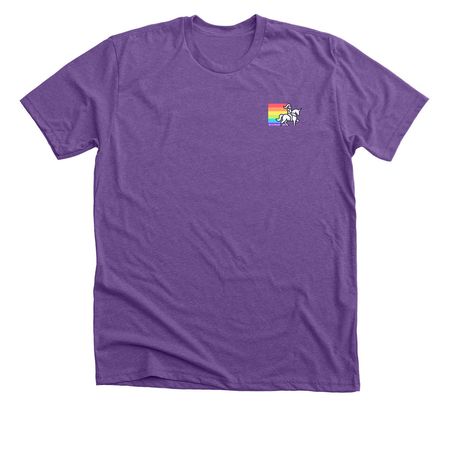 Rainbow Knights [Small Logo], a Heather Team Purple Premium Unisex Tee