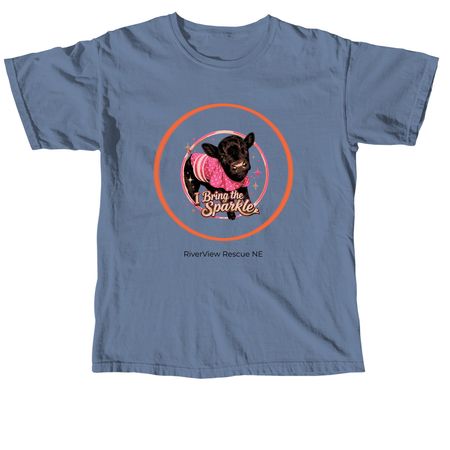 Winter shelter fundraiser-Bring the Sparkle&nbsp;, a Blue Jean Comfort Colors Unisex Tee