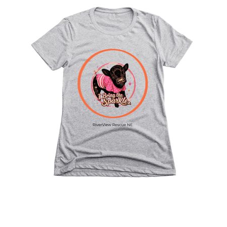 Winter shelter fundraiser-Bring the Sparkle&nbsp;, a Dark Heather Grey Women's Slim Fit Tee