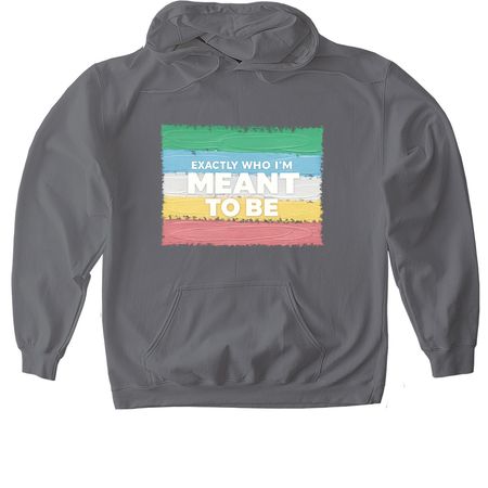Exactly Who I'm Meant To Be, a Charcoal Gildan Softstyle Pullover Hoodie