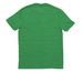 Florida Native Plant Month, a Enviro Green Allmade Eco Triblend Unisex Tee (back-view)