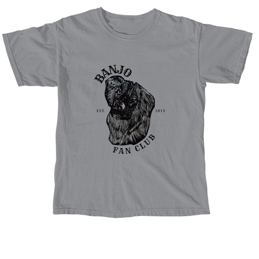 The Banjo Project, a Granite Comfort Colors Unisex Tee