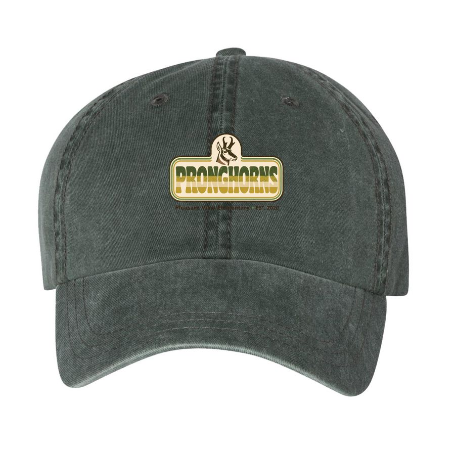 Accessories - Retro Pronghorn Ballcaps, a Forest Printed Pigment Dye Baseball Cap