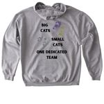 One Dedicated Team, a Sport Grey Gildan Softstyle Pullover Hoodie (back-view)