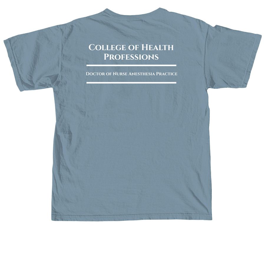 AFN Merch, a Ice Blue Comfort Colors Unisex Tee (back-view)