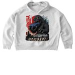 Zilla with the Legends, a Cool Heather Grey Stanley/Stella Women?s Stella Nora Pullover Hoodie (back-view)