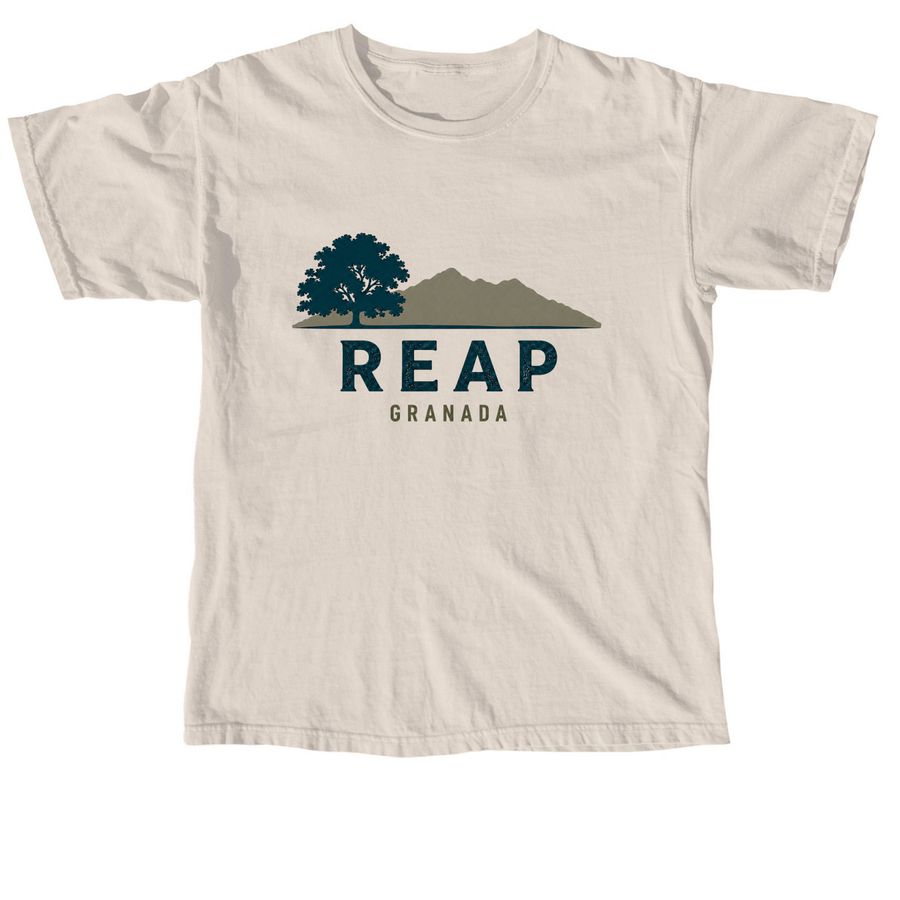 2027 Mission Trip, a Ivory Comfort Colors Unisex Tee