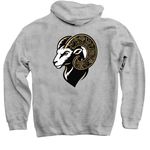 Excellence in Motion: Classic Care, a Sport Grey Pullover Hoodie (back-view)