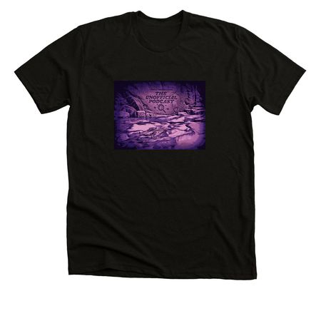 TTI Unofficial Logo In The Purple Image, a Black Heather Premium Unisex Tee