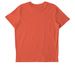 Trees for the Future ? Tops, a Fiesta Stanley/Stella Unisex Crafter Tee (back-view)
