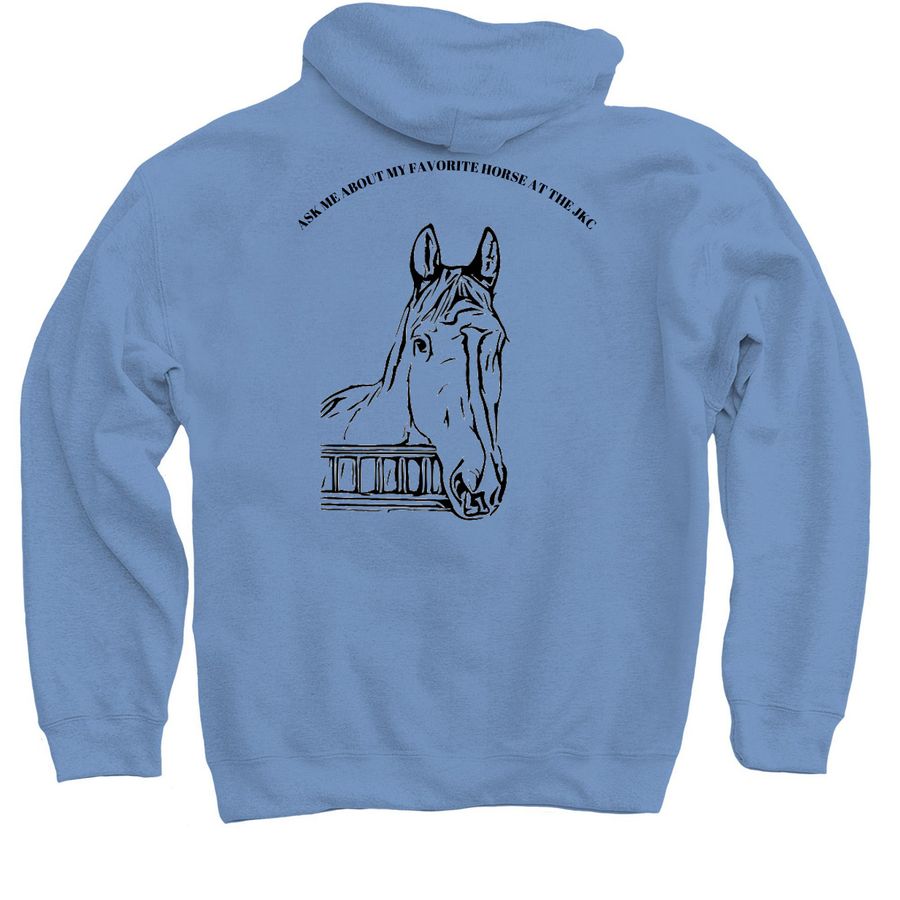 WILLOW, a Carolina Blue Pullover Hoodie (back-view)
