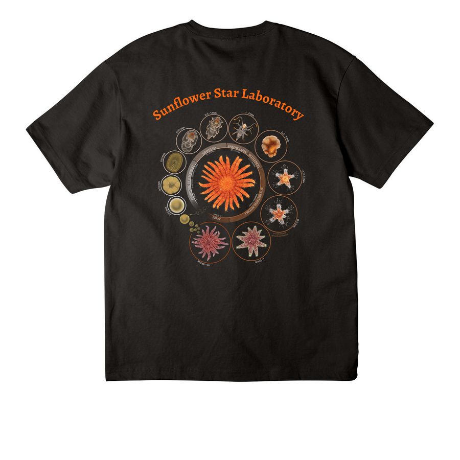 Sunflower Star Life Cycle, a Black Unisex Heavyweight Tee (back-view)