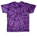 Tic Loud & Proud, a Purple Classic Tie Dye Tee (back-view)