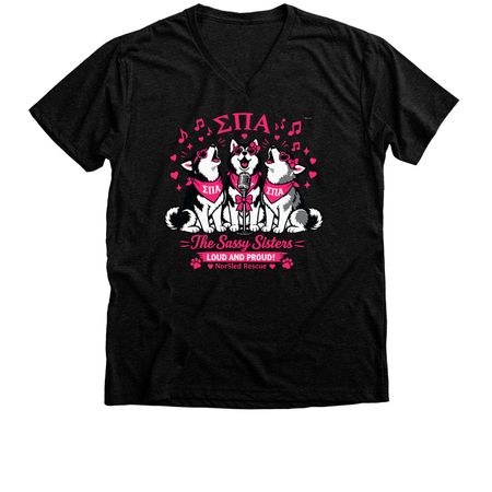 Loud & Proud, a Black Heather Premium V-Neck Tee
