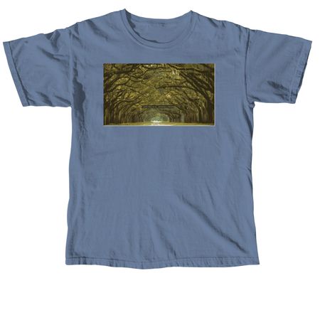 Beauty, a Blue Jean Comfort Colors Unisex Tee