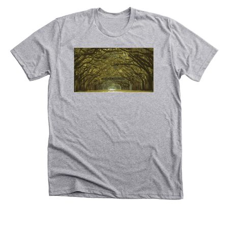 Beauty, a Athletic Heather Premium Unisex Tee