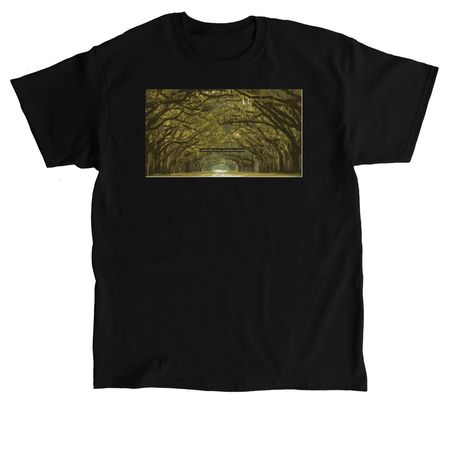 Beauty, a Black Classic Unisex Tee