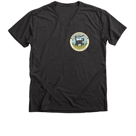 SPAY YOUR STRAYS, a Dark Grey Heather Premium V-Neck Tee