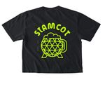 Neon Lime Logo&nbsp;Ft&Bk Shirts & Sweatshirts, a Black Comfort Colors Boxy Tee (back-view)