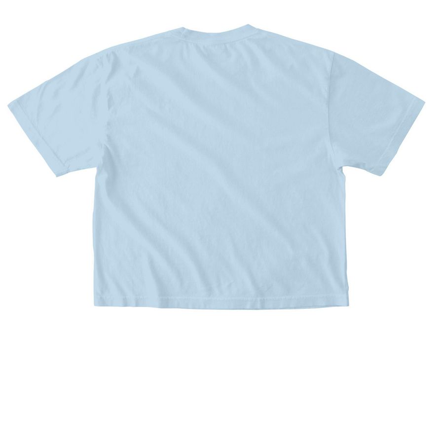 Biodiversity Shirt - Coral Reef Alliance, a Chambray Comfort Colors Boxy Tee (back-view)