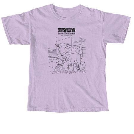 Sheep Supporter at CI, a Orchid Comfort Colors Unisex Tee