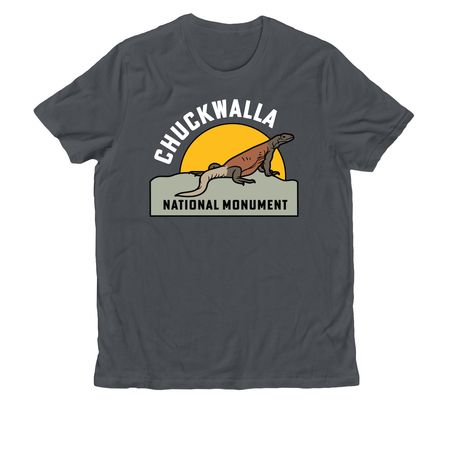 Chuckwalla National Monument, a Terrain Grey Allmade Organic Cotton Unisex Tee
