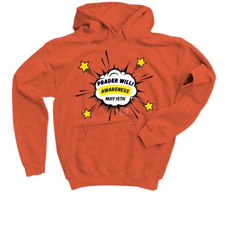 PWS Awareness TEEs for Fiona & Rose's School, a Orange Youth Pullover Hoodie