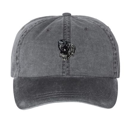 The Banjo Project, a Black Printed Pigment Dye Baseball Cap