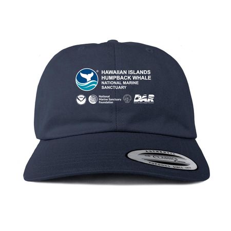 HIHWNMS Logo Hats, a Navy Printed Classic Baseball Cap