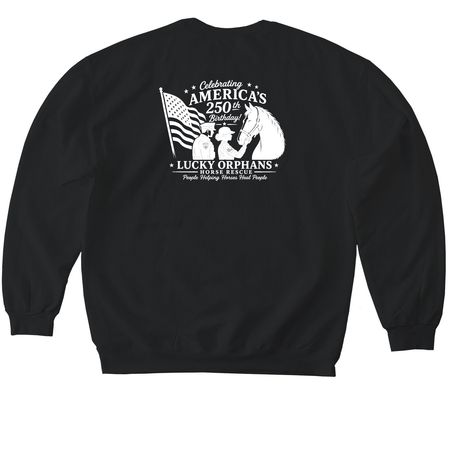 Stars, Stripes & Sanctuary, a Black Softstyle Crewneck Sweatshirt