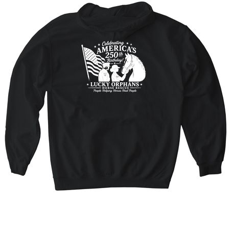 Stars, Stripes & Sanctuary, a Black Gildan Softstyle Pullover Hoodie