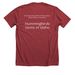 IBO Team Hummingbird:&nbsp;"throwback" edition, a Heather Canvas Red Premium Unisex Tee (back-view)