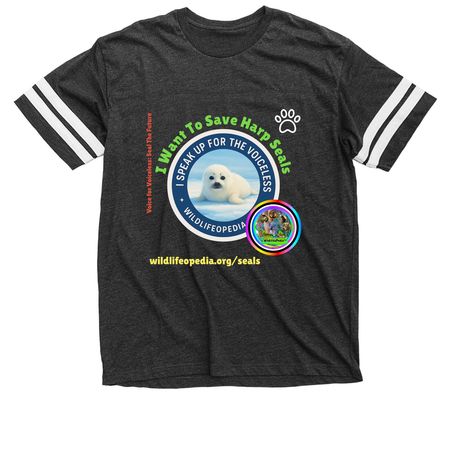 Purrfectly Wild Hoodies: "Seal The Future", a Vintage Smoke / White Football Jersey Tee