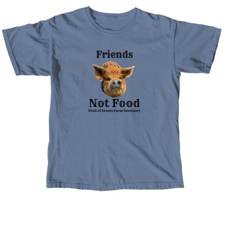Friends not food, a Blue Jean Comfort Colors Unisex Tee